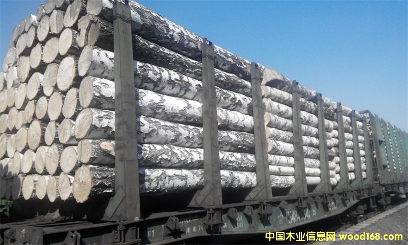 ����������ľ