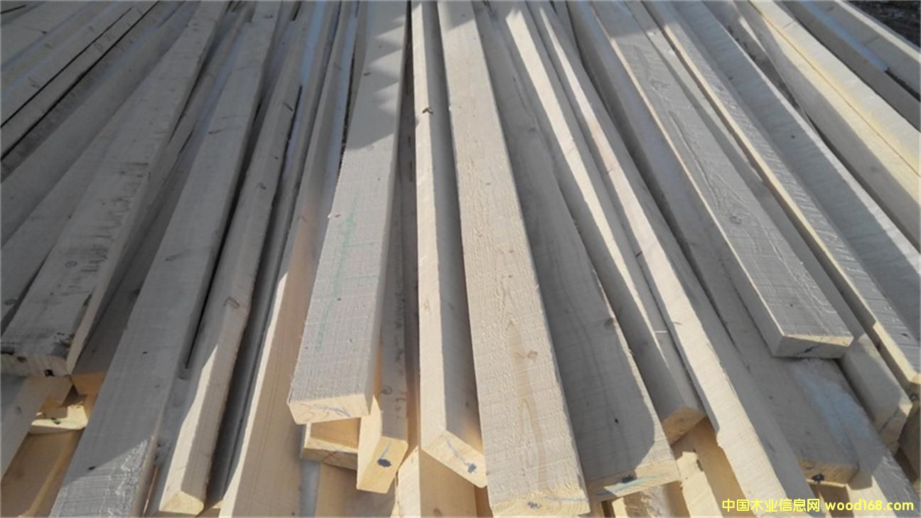 ���ɿ���