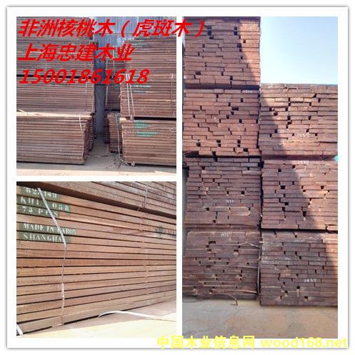 ���޺���ľ