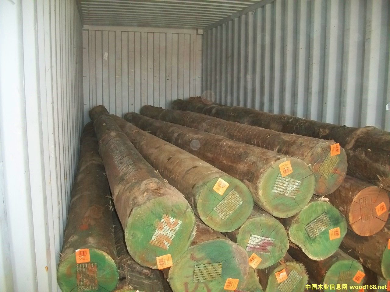 FSC��ľԭľ��Ԕ����B