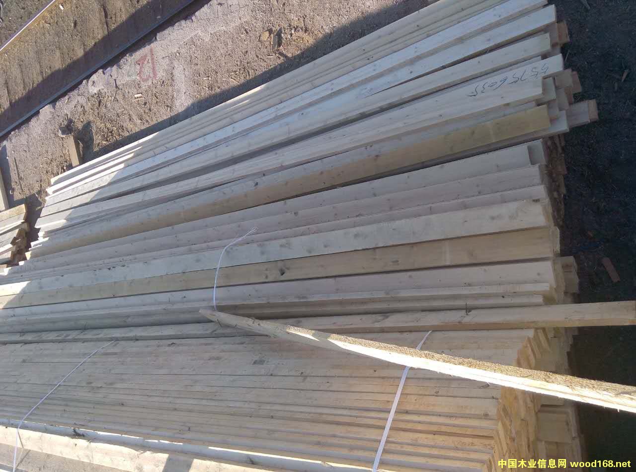 �����ٹ��