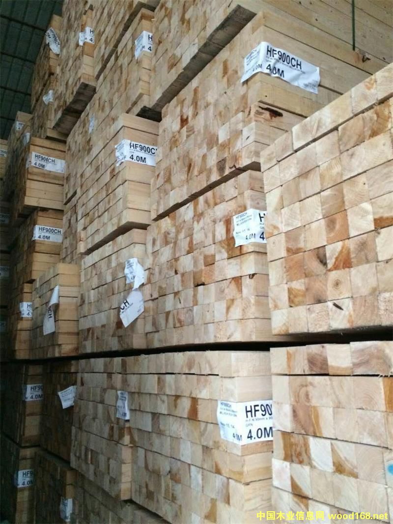 �Fɼ�����