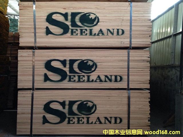 ����(gu��)�M(j��n)�ڼt��ľ��(sh��)ľ���