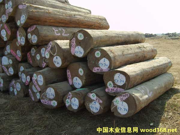 ������ľԭľ