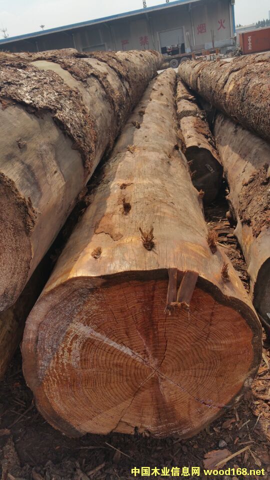 ���ô���