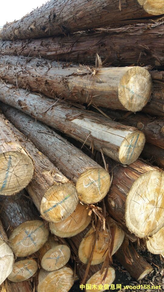 ����(gu��)���ԭľ