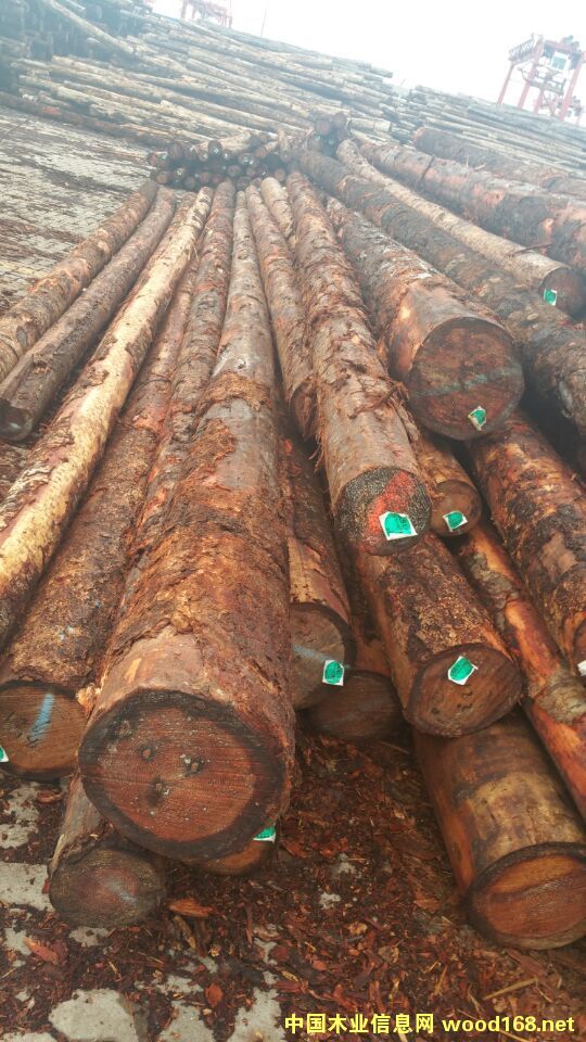 ���ô�����