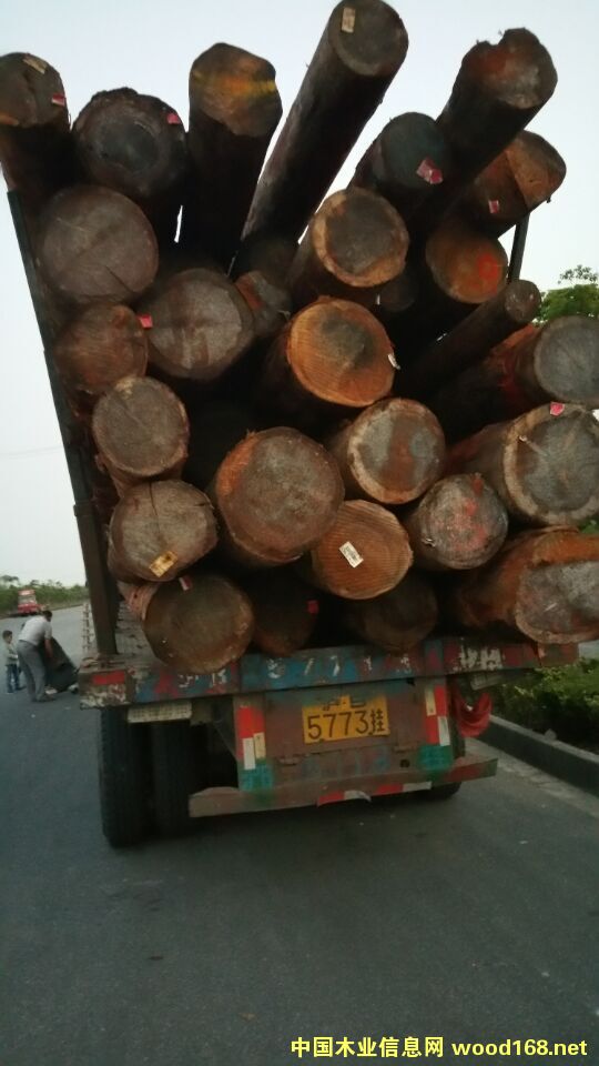 ľ���b܇��Ƭ