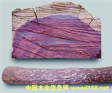 �������_�m��֦ �l�y׃�ßo�����y��������