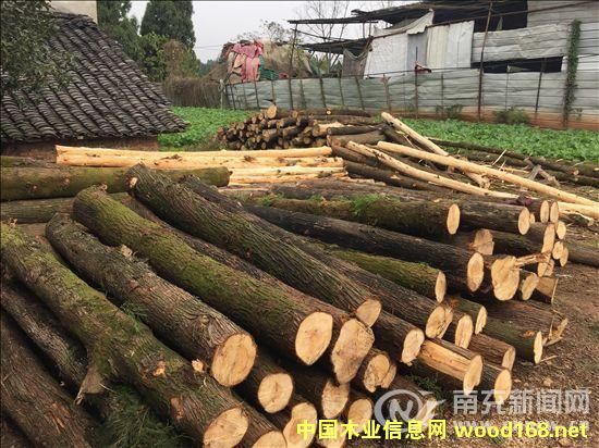 �ϳ䣺�(zh��n)������Ƥ�o�C�ӹ�ľ�� �(zh��n)�L�Qȫ�ж��ձ�