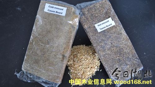 �����ٻ��壺����(j��ng)��(j��)���h(hu��n)�����־�