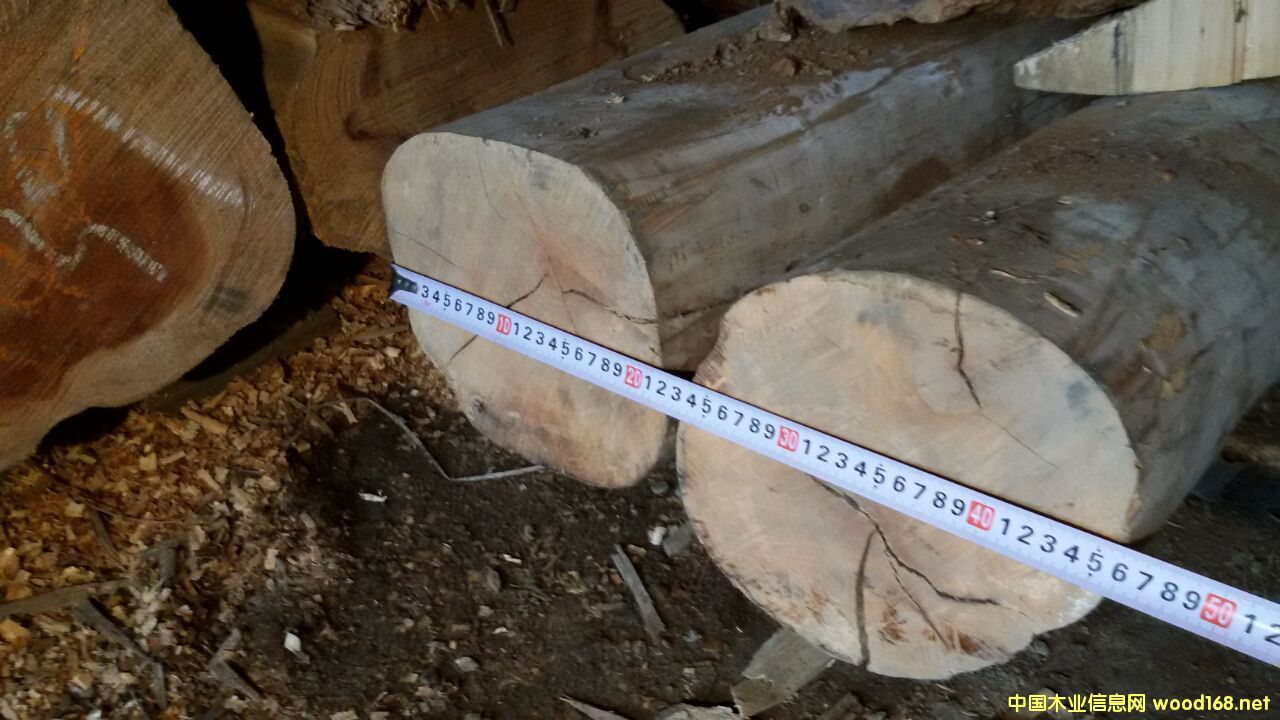 花梨木的詳細(xì)介紹