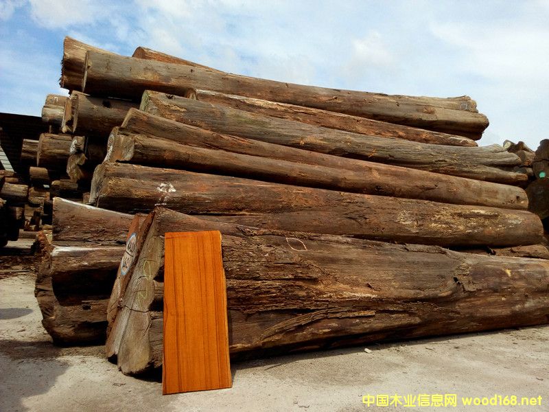 �ڽ���ľ��Ԕ����B