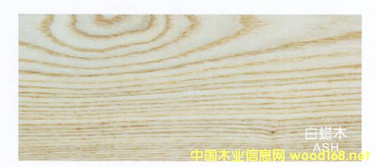 ���DľС�ӵ�Ԕ��(x��)��B