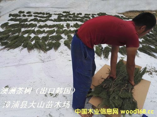 ���޲���~�ӣ���ɣ�