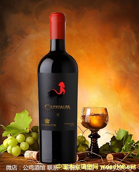 С���u 피�(j��)������ �t���ѾƵ�Ԕ��(x��)��B