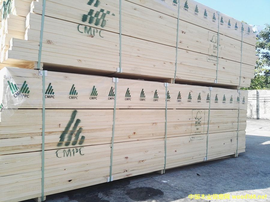 [��] ������ CMPC ARAUCO