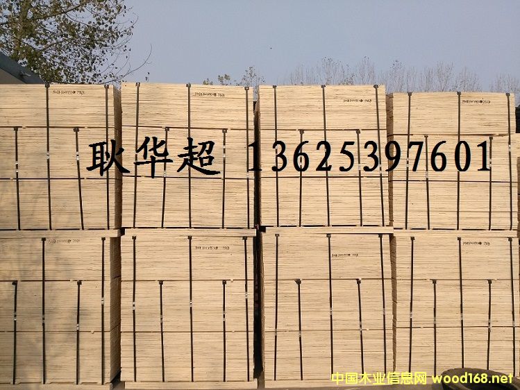 ����(y��ng)���b�ú��P(gu��n)��zLVLľ�����l��Ԕ��(x��)��B