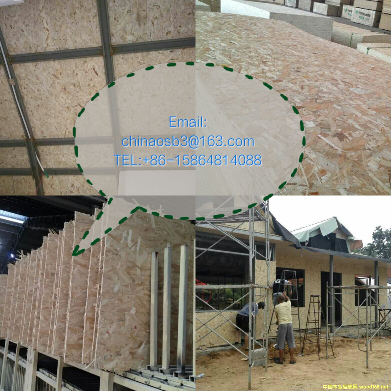 �p䓄e����OSB���塢�r���Ԕ��(x��)��B