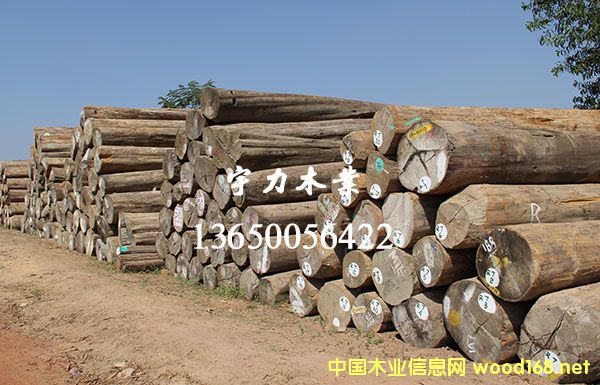 ������ľԭľ