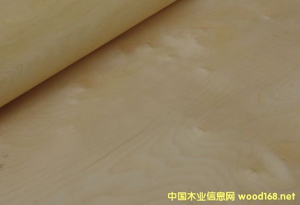 �ט���Ƥ��Ԕ��(x��)��B