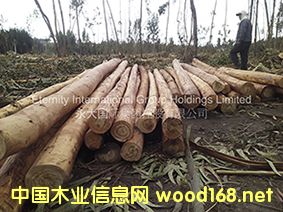 ��϶ࠖ��ľ��Ԕ����B