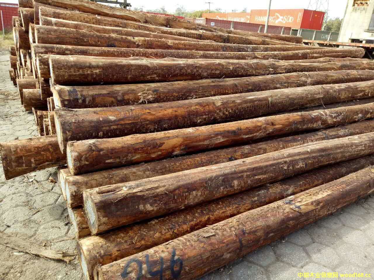 [��] ����õ����ԭľ