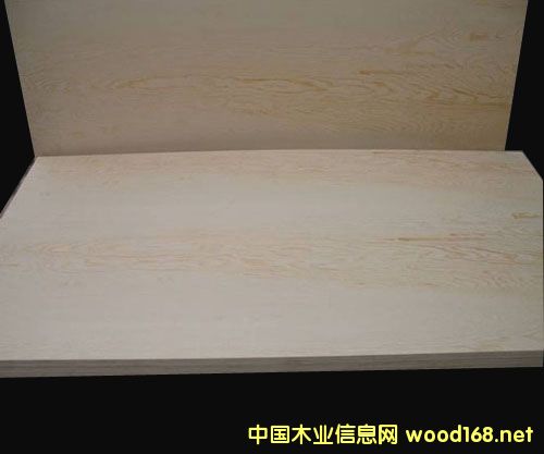 松木的詳細(xì)介紹