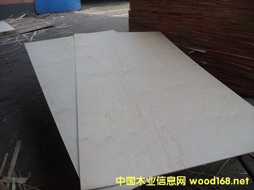 松木的詳細(xì)介紹