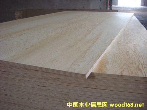 松木的詳細(xì)介紹