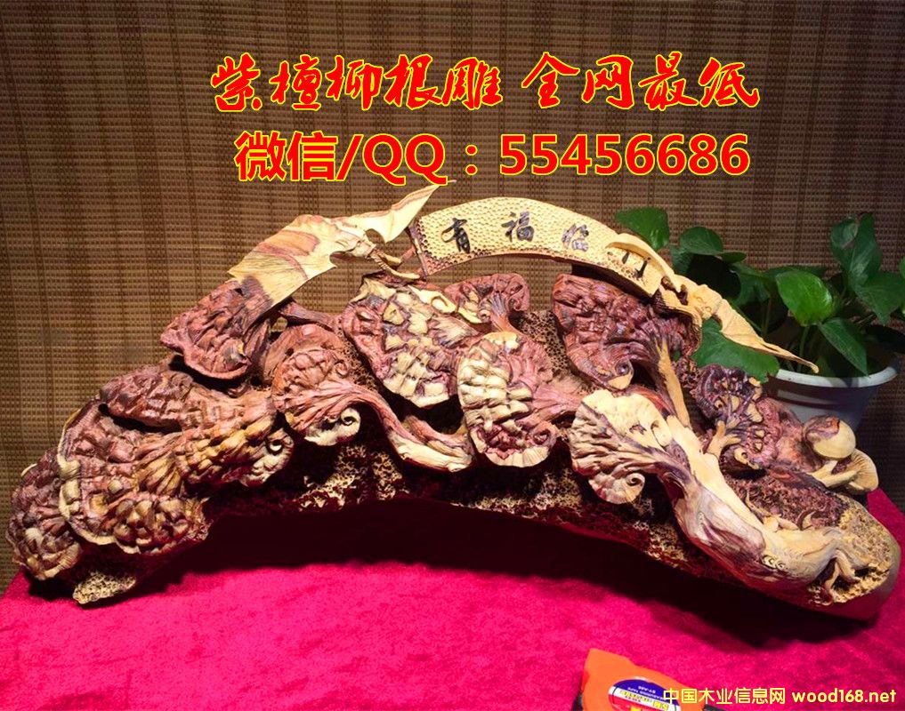 ��̴������