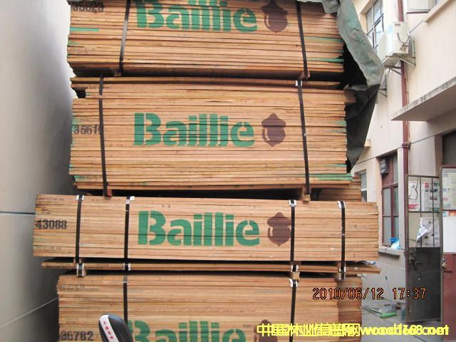 ����ľ��Ԕ��(x��)��B