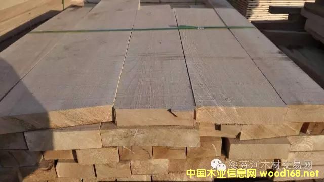 ���_˹��ľ������