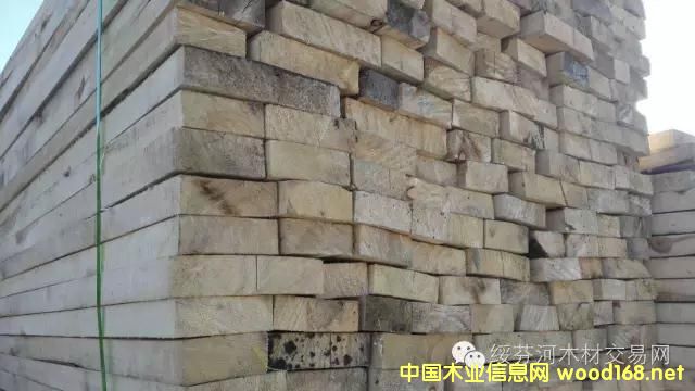 ���_˹��ľ������