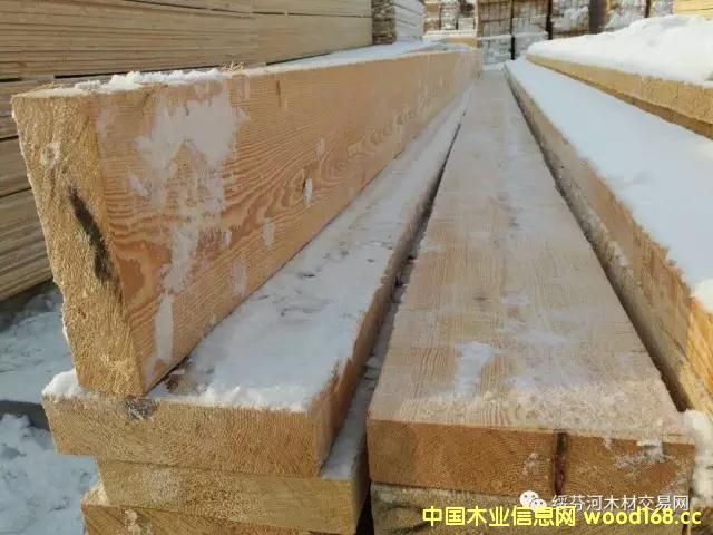 ���~����������������䏲�