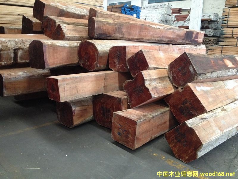 ���������S���߲�ľ