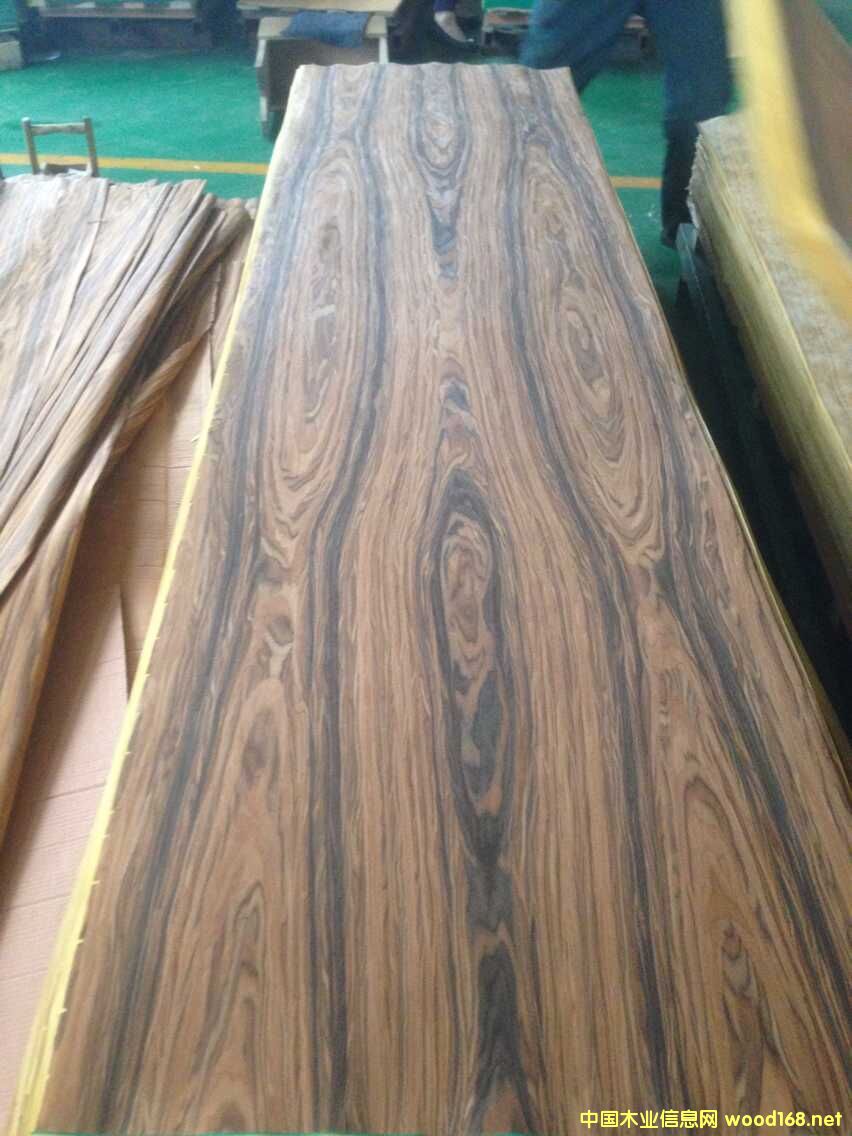 ��֦ľƤ��Ԕ����B