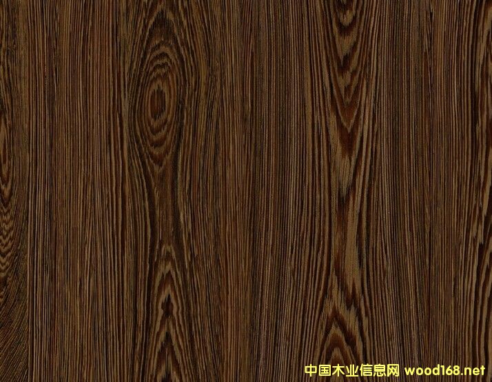 �c(di��n)���鿴E1��(j��) �u��ľ�y�������� ����� �h(hu��n)���ҾӰ��Ԕ��(x��)�Y��