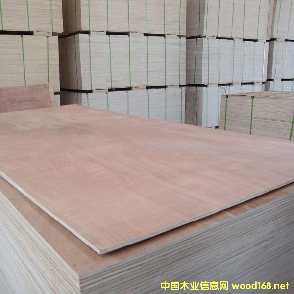 ���K���w�S��ֱ�N�Ҹ����z�ϰ����h(hu��n)�����Ӱ�