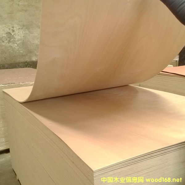 ���B(t��i)�z�ϰ��������z�ϰ������Ӱ�S��ֱ�N