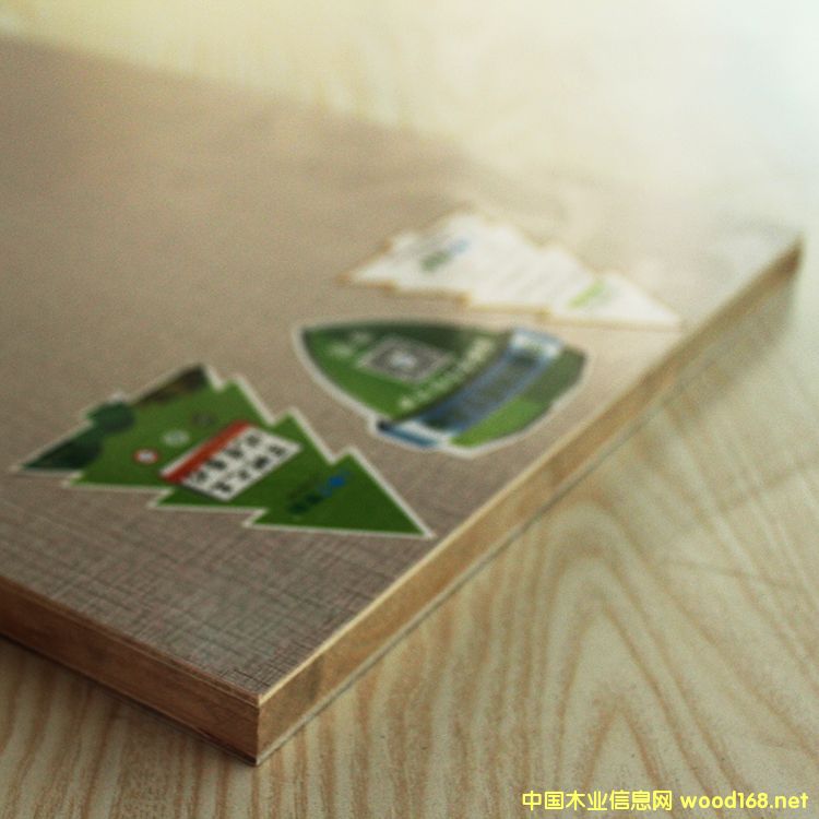 小布格的詳細(xì)介紹