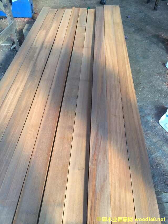 巴勞木的詳細介紹