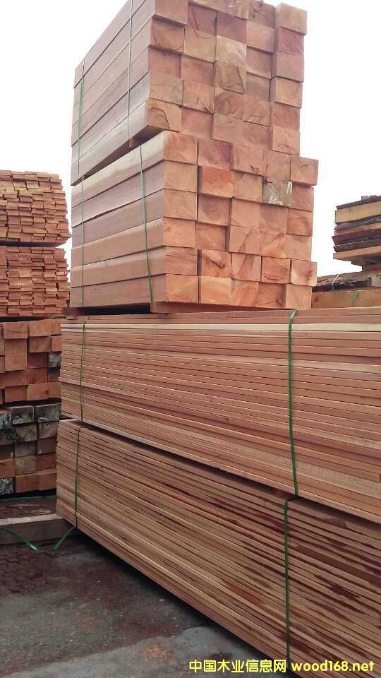 柳桉木的詳細介紹