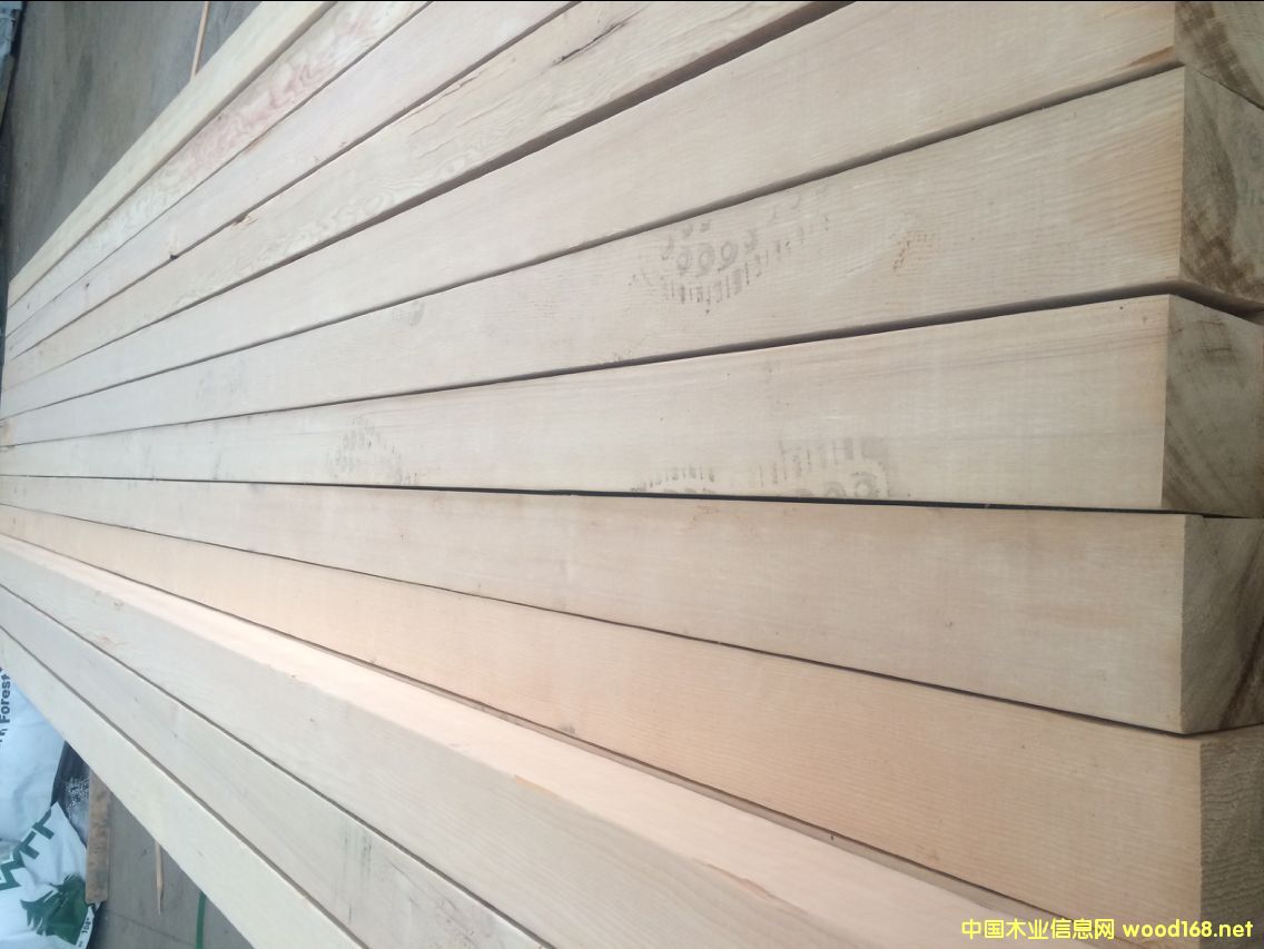 �o(w��)��(ji��)�Fɼ