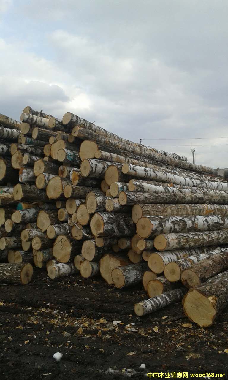 ���_˹�ט��Ԕ��(x��)��B