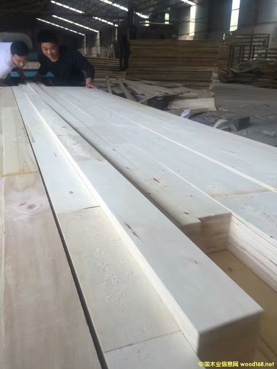 �T(m��n)о�� ľ�T(m��n)��(xi��n)�l �T(m��n)�װ�