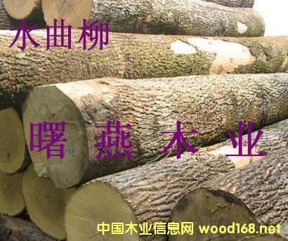 ˮ����ԭľ�������ľ��