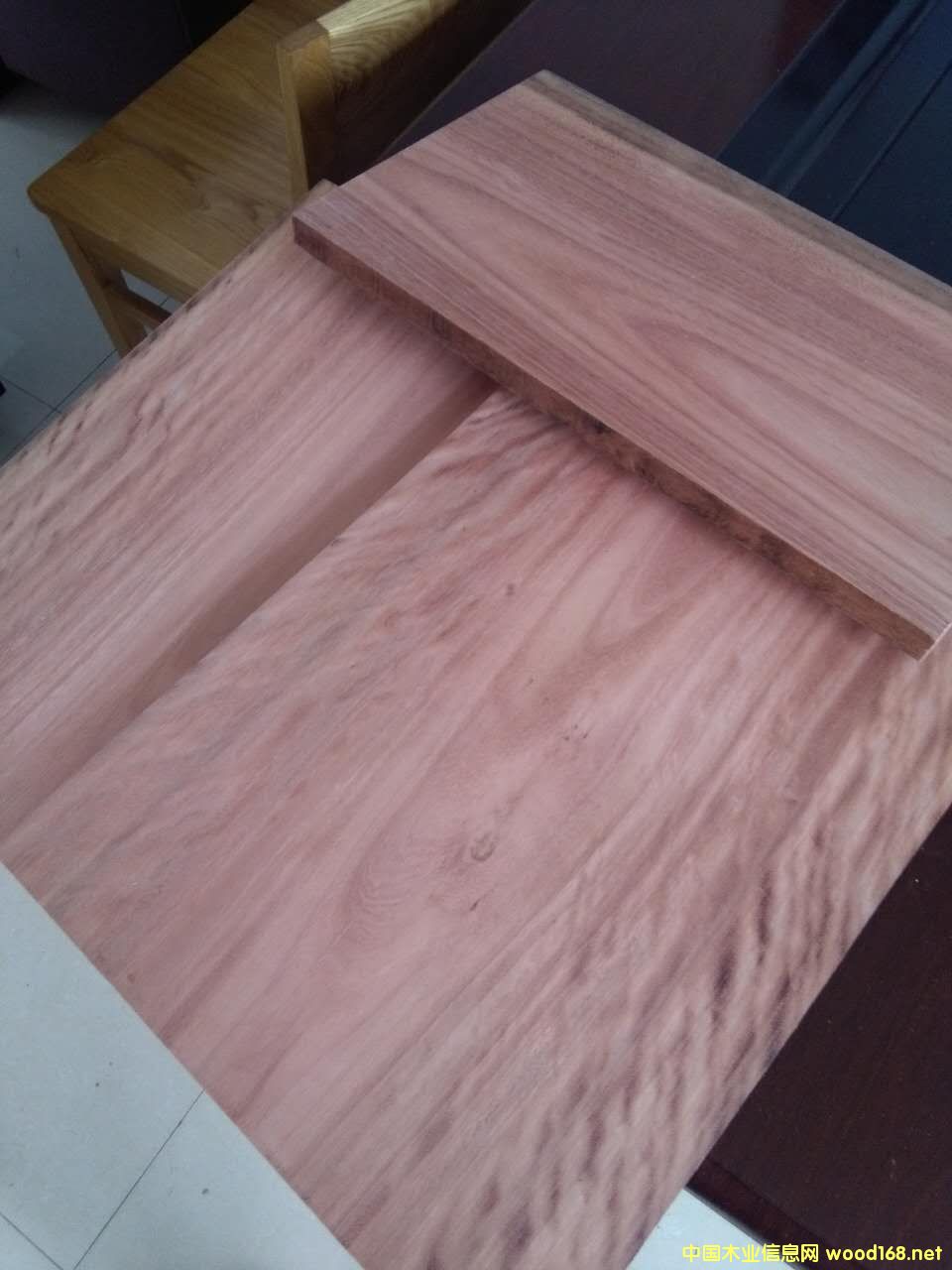 玫瑰木的詳細(xì)介紹