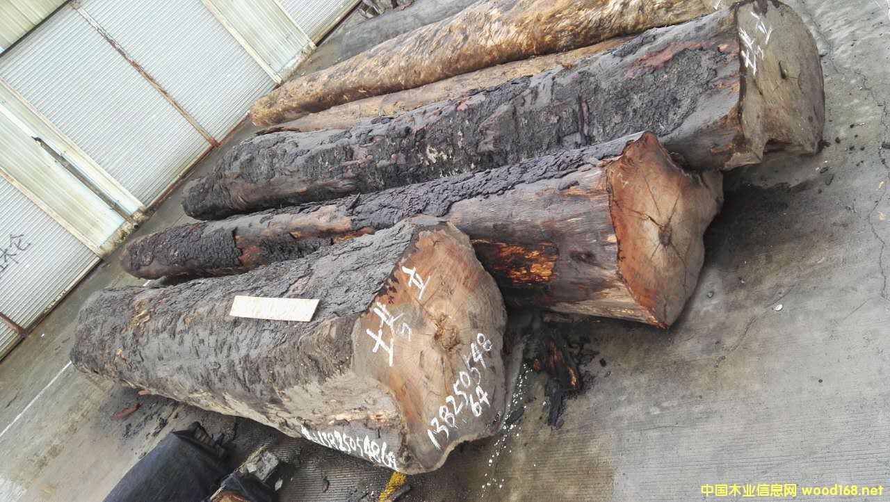 ���޲��}���Ԕ����B