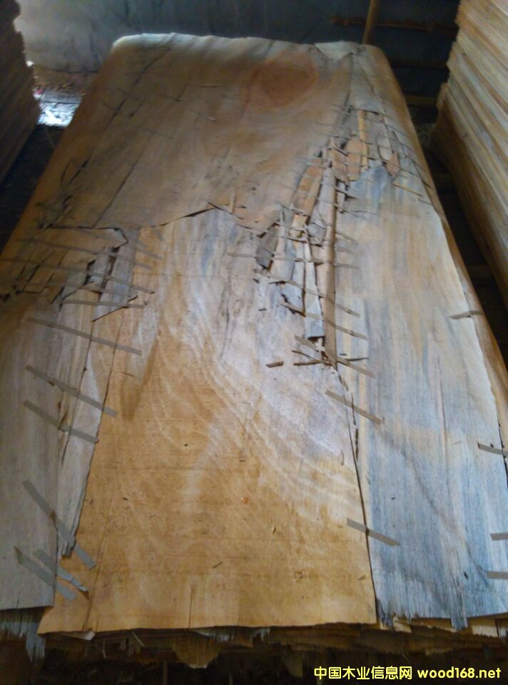 奧古曼的詳細(xì)介紹